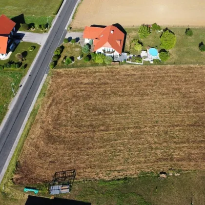 Baugrundstück in idyllischer Waldrandlage in Neuhaus in der Wart, Südburgenland! - Bild 3