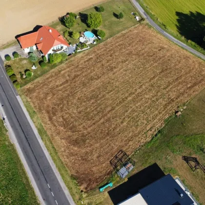 Baugrundstück in idyllischer Waldrandlage in Neuhaus in der Wart, Südburgenland! - Bild 2