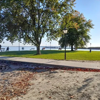 Idyllischer Baugrund beim Plattensee (Balatongyörök) - Bild 3