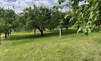 Baugrundstück in einzigartiger Lage in Spitz an der Donau * Weltkulturerberegion * kein Bauzwang