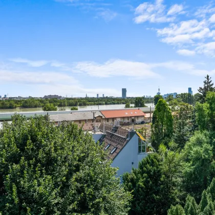 Genießen Sie ganzjährig Urlaubsfeeling! Donauausblick, große Balkonterrasse, sonnige Räumlichkeiten warten aus Sie - Bild 2