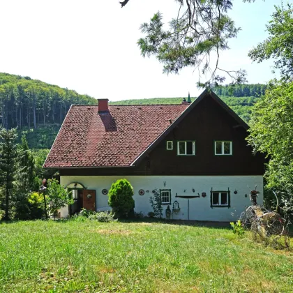 Traditionelles Wienerwaldhaus in Aussichtslage auf der Sophienalpe - Bild 2