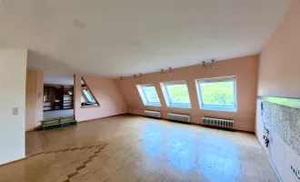 Dachgeschoßtraum mit 76m² Wohnzimmer und Blick auf die Gloriette