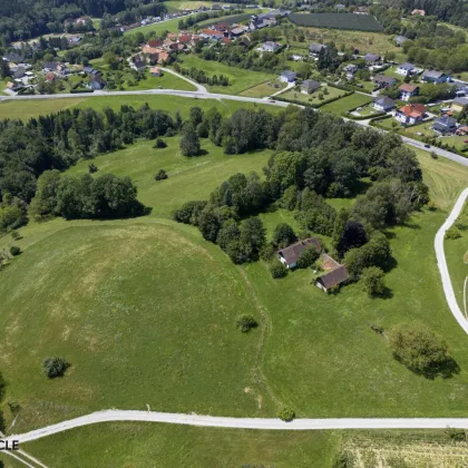 Idyllischer Scheibengrund mit Altbestand und herrlichem Fern- und Grünblick! - Bild 3