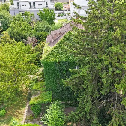 Bauträger aufgepasst! Teilbares Grundstück mit Altbestand beim Donaupark - Bild 3