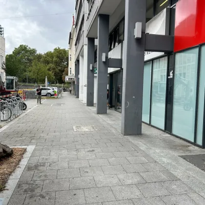 850m2, top barrierefreie, ebenerdige Gewerbefläche in Linz zu vermieten (Auch Büros im OG verfügbar) - Bild 2