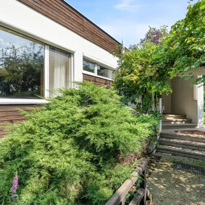 Einfamilienhaus in Herzogenburg | 4 Zimmer + Einliegerwohnung | Herrlicher Naturgarten mit Biotop - Bild 3