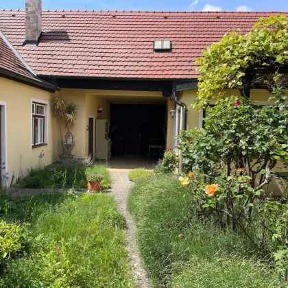 BADEN BEI WIEN / RARITÄT - Altes Winzer- bzw. Landhaus in ruhiger Innenstadtlage - Bild 3