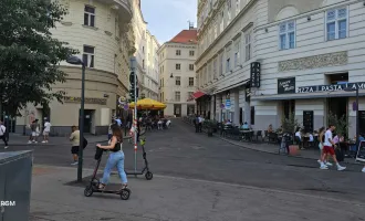 Ein einzigartiges Angebot! Schöne Immobilie am Schwedenplatz zu vermieten!