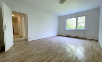 Frisch sanierte 4-Zimmer Wohnung in Neubauhaus in idealer Lage in Fischamend! 2 Autoabstellplätze inklusive!