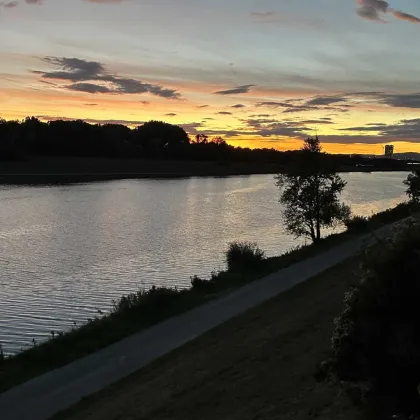 Restaurant + Wohnung - Freizeitoase an der neuen Donau (Sommerbetrieb) - Bild 2