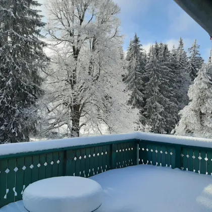 Ferienhaus Völlegg *Waldheimat Steiermark* jetzt buchen und Natur und Ruhe genießen! - Bild 3