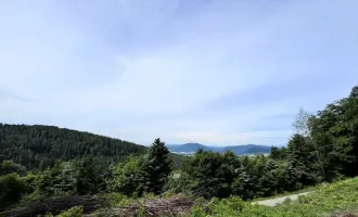 GRAZ-ANDRITZ: WUNDERSCHÖNES, ERHÖHTES BAUGRUNDSTÜCK MIT STADTBLICK!