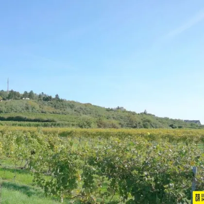 Grundstück mit unverbaubaren Fernblick - Bild 2