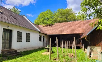 Burgenländischer Streckhof mit viel Potential - 1679 m² Grundstück BW in Kemeten!