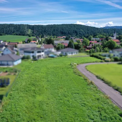 Herrlicher Baugrund in Klagenfurt Land - Bild 2