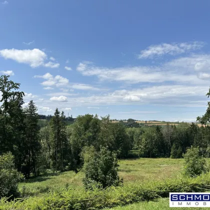 Wohnen wie im Bungalow - Exklusive Gartenwohnung mit Pool und grandioser Aussicht - Bild 3