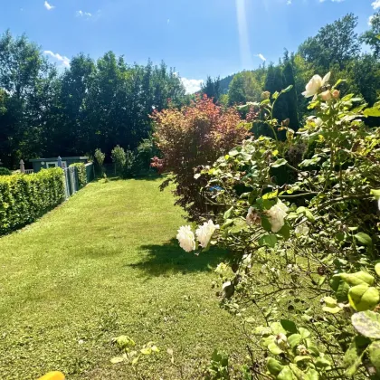 Naturnahes Wohnglück in Ternitz - Bild 2