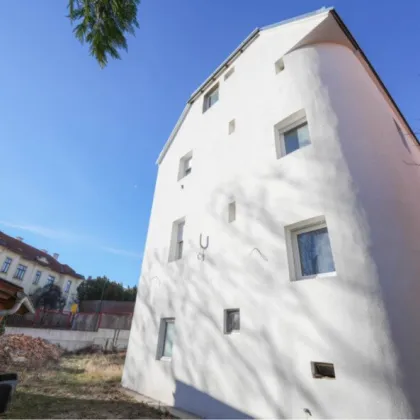 Vielseitiges Mehrfamilienhaus/Zinshaus mit Garten in Brunn am Gebirge - Bild 2