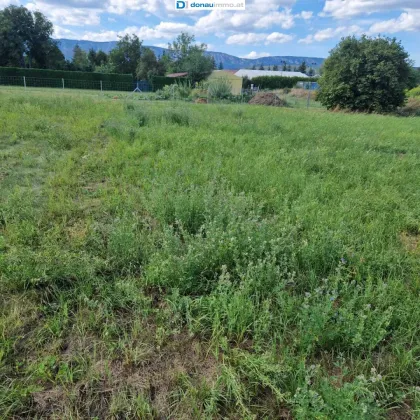 Neusiedl am Steinfeld: Baugrundstück in toller grüner und ruhiger Lage - Bild 2