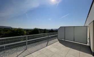 Danube Hills Perfekte Singlewohnung mit großer Terrasse