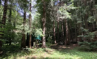 Freizeitgrundstück  5683 m²  Wald und Wiese im LUFTKURORT St. RADEGUND- Nähe Reha ***