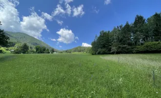 2 Baugrundstücke für Naturliebhaber und Erholungssuchende!