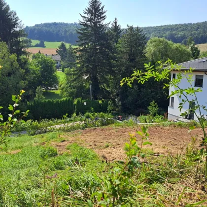 Traumhaftes Baugrundstück in Alland - Bild 2