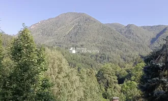 Ihr Grundstück in Hanglage mit absolutem Grünblick