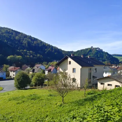 Landhaus in herrlicher Umgebung für Großfamilie oder Wohngemeinschaften - 1 Stunde von Wien - Bild 3