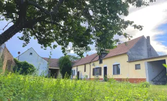 Burgenländischer Traditions-Weinbauern-Streckhof