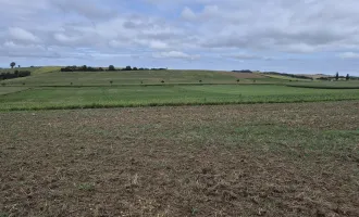 Aufgeschlossenes Baugrundstück in Ortsrandlage mit unverbautem Grünblick, Kauf oder Baurecht auf bis zu 99 Jahre möglich