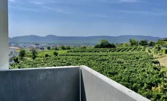 Neubau Erstbezug Ruhige Drei Zimmer Wohnung mit Balkon und traumhaften Ausblick