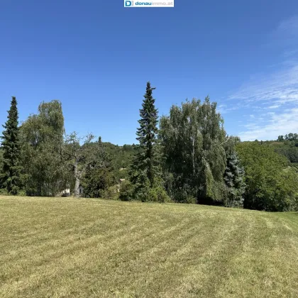 2122 Münichsthal bei Wolkersdorf, tolles Einfamilienhaus mit Riesengrundstück, Gewölbekeller und Holzstadel - Bild 2