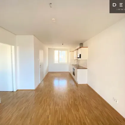 | 2 MONATE MIETZINSFREI !!  | BALKON | 2 ZIMMER | TOLLE RAUMAUFTEILUNG - Bild 3