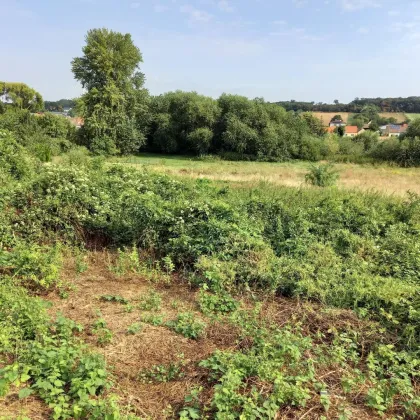 Baugrundstück in Potzneusiedl - Ihr perfektes Zuhause im idyllischen Burgenland - Bild 2