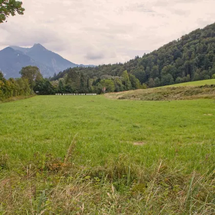 Bauernhof Gebiet Chiemsee - 10 Hektar, mit Vorkaufsrecht auf bewirtschaftete Alm mit über 100 ha. - Bild 2