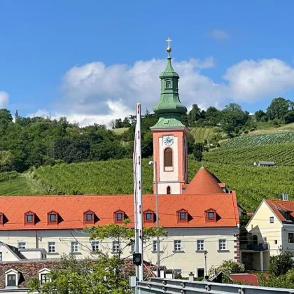 RESIDIEREN AM FREIHOF im Herzen der Weinberge - Historischer Charme kombiniert mit dem Zeitgeist der Moderne - Bild 3