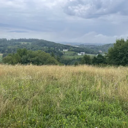 Traumhaftes Baugrundstück mit Berg- und Fernblick - Bild 2