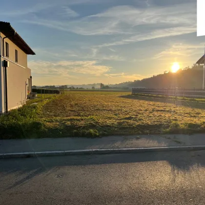 Traumhaftes Baugrundstück in Weißkirchen (an der Grenze zu Schleißheim) - Bild 3