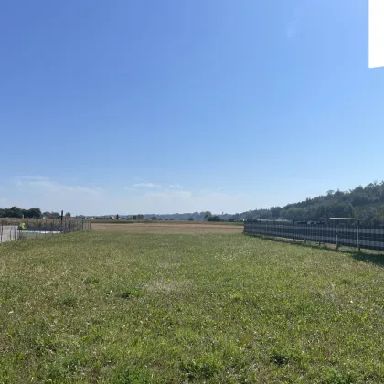 Traumhaftes Baugrundstück in Weißkirchen (an der Grenze zu Schleißheim) - Bild 2