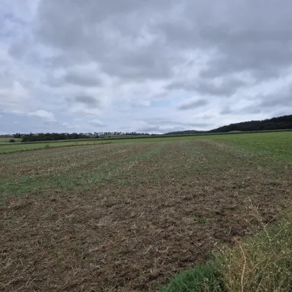 Aufgeschlossenes Baugrundstück in Ortsrandlage mit unverbautem Grünblick, Kauf oder Baurecht auf bis zu 99 Jahre möglich - Bild 3