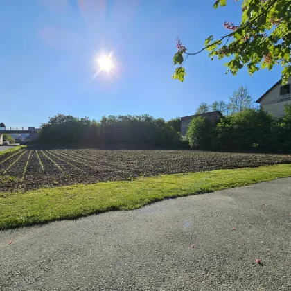 Super Gelegenheit! "Exklusives Bauträgergrundstück mit attraktiver Planstudie in Stainz: Verwirklichen Sie Ihr Traumprojekt in Top-Lage" - Bild 3