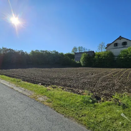 Super Gelegenheit! "Exklusives Bauträgergrundstück mit attraktiver Planstudie in Stainz: Verwirklichen Sie Ihr Traumprojekt in Top-Lage" - Bild 2