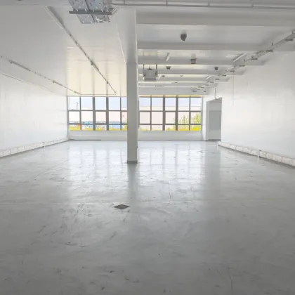 Betriebsobjekt mit 2.800m² Hallen, 280m² Büro und 2.250m² Freiflächen | Standalone | Autobahnanbindung - Bild 2