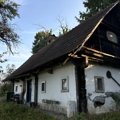 ++TRAUMHAFT SCHÖNE AUSSICHTSLAGE++IDYLLISCH gelegene KLEINLANDWIRTSCHAFT++ca, 2,6 Ha SCHEIBENGRUND, mit alten typischen Bauernhaus. - Bild 3