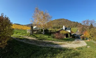 RESIDIEREN AM FREIHOF im Herzen der Weinberge - Historischer Charme kombiniert mit dem Zeitgeist der Moderne