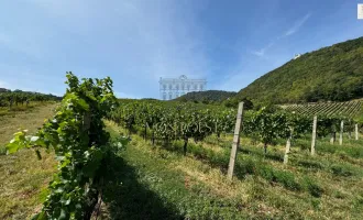 RESIDIEREN AM FREIHOF im Herzen der Weinberge - Historischer Charme kombiniert mit dem Zeitgeist der Moderne