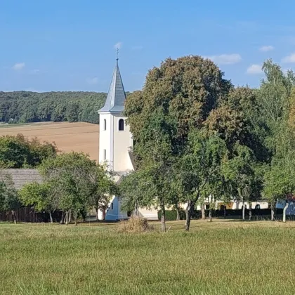 Deutsch Schützen Eisenberg: Einfamilienhaus mit großem Garten, Wirtschaftsgebäuden und Stadel !! - Bild 2