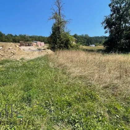 Baugrund in ruhiger neuer Siedlungslage in Scheibbs!! - Bild 2